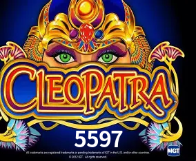 APP oficial da 5597 para mobile